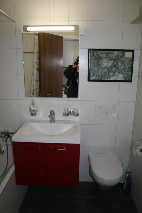 Microappartment With Bath And Cozy Balcony Apartment *